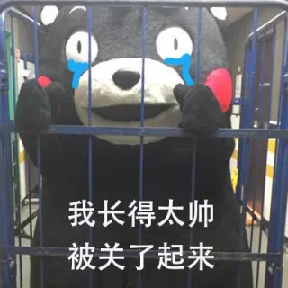我长得太帅被关了起来_