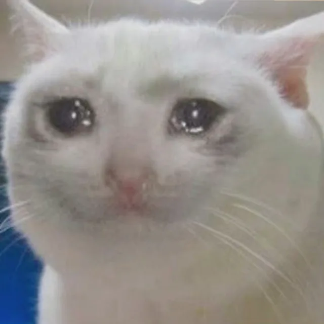 流泪猫猫头无字