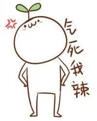 气死我辣（气死我辣）