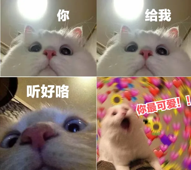 你给我听好咯你最可爱!
