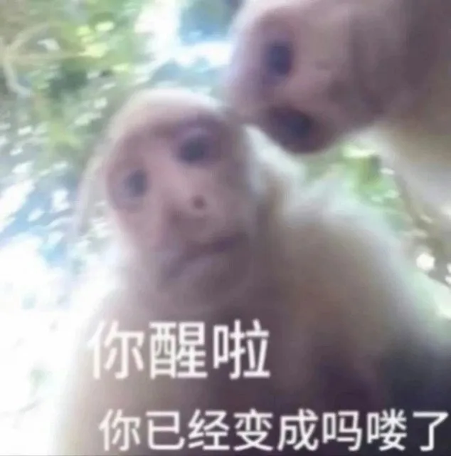 你醒啦你已经变成吗喽了（你醒啦你已经变成吗喽了）