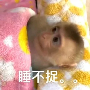 睡不捉。。(吗喽表情包)（睡不捉。。(吗喽表情包)）
