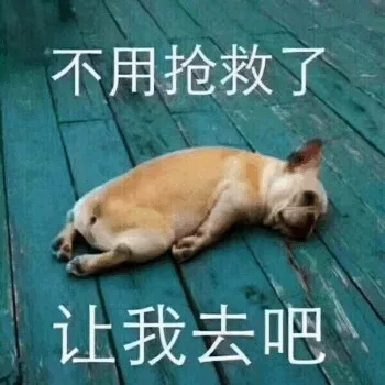 不用抢救了，让我去吧（狗子）