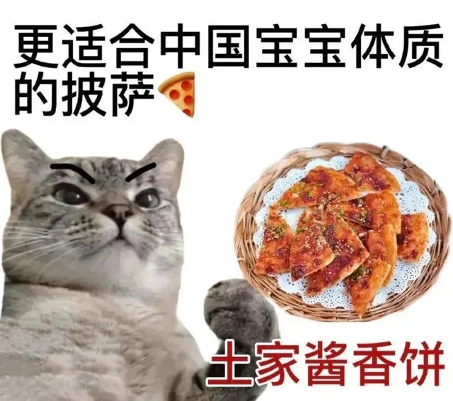更适合中国宝宝体质的披萨土家酱香饼