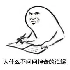 为什么不问问神奇的海螺（为什么不问问神奇的海螺）