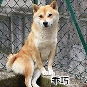 乖巧的坐着（乖巧的坐着）