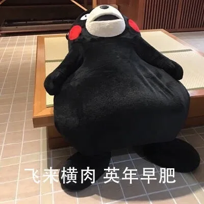 来横肉英年早肥（来横肉英年早肥）