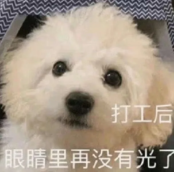 打工后眼睛里再没有光了（打工后眼睛里再没有光了）