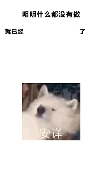 明明什么都没有做就已经安详