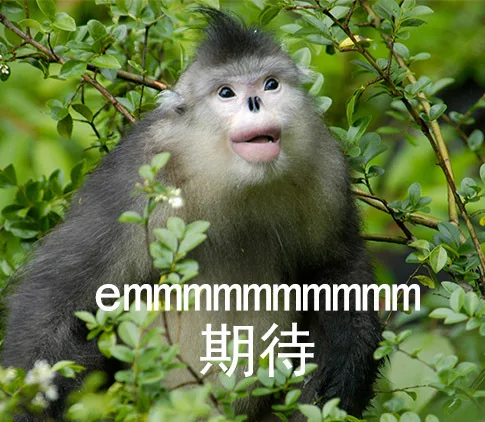 emmmmmmmmmm期待（emmmmmmmmmm期待）