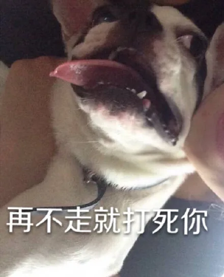 再不走就打死你（汪星人）（再不走就打死你（汪星人））
