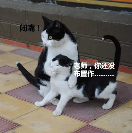 老师，你还没布置作业。。。快闭嘴吧你