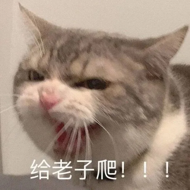 给老子爬（给老子爬）