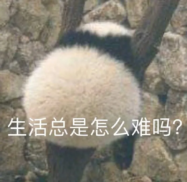 生活总是怎么难吗？（生活总是怎么难吗？）
