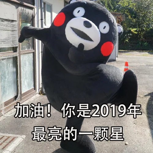 加油！你是2019年最亮的一颗星（加油！你是2019年最亮的一颗星）