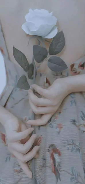 鲜花壁纸（鲜花壁纸）
