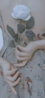 鲜花壁纸