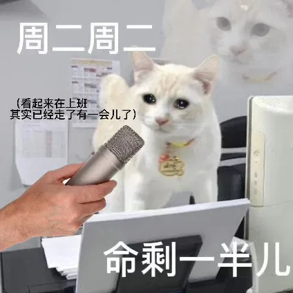 周二周二(看起来在上班其实已经走了有一会儿了)命剩一半儿（周二周二(看起来在上班其实已经走了有一会儿了)命剩一半儿）