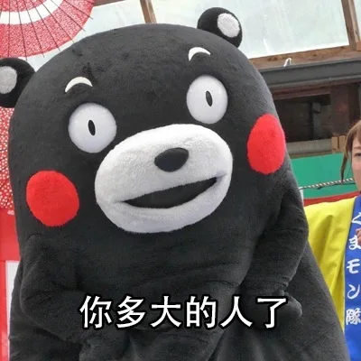 你多大的人了