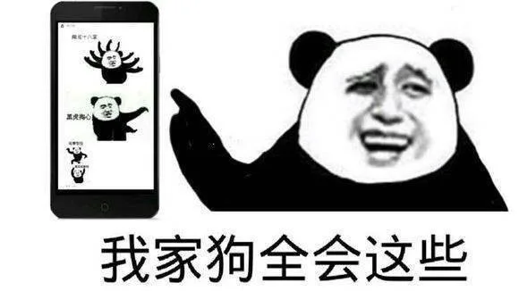 熊猫人指着全是武功秘籍表情的手机，我家狗全会这些