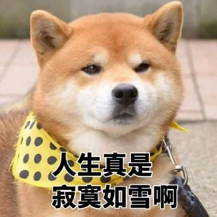 大生真是寂寞如雪啊（大生真是寂寞如雪啊）