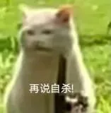 再说自杀！（再说自杀！）