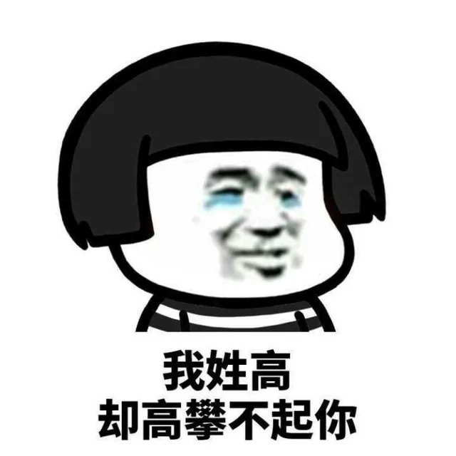 我姓高却高攀不起你（我姓高却高攀不起你）
