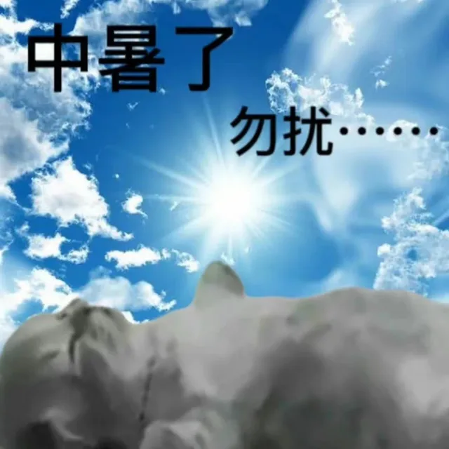 中暑了勿扰……（中暑了勿扰……）