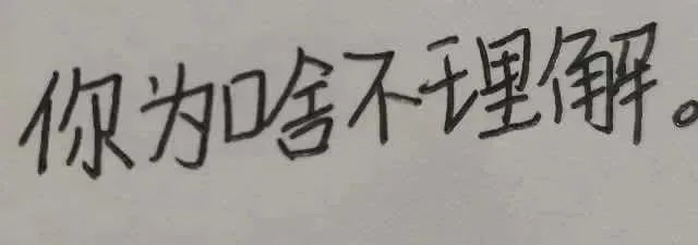 你为啥不理解