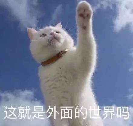 好想出去玩！