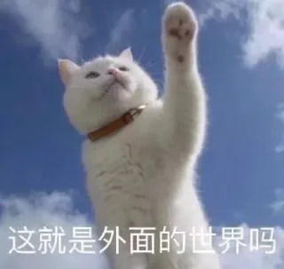 好想出去玩！表情包