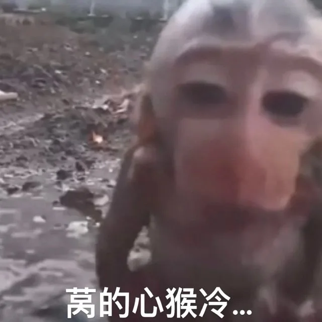 莴的心猴冷…（莴的心猴冷…）