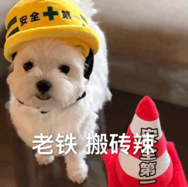 老铁，搬砖辣（老铁，搬砖辣）