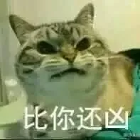 比你还凶