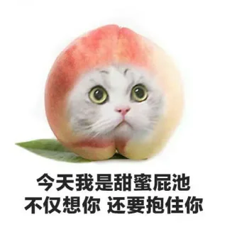 今天我是甜蜜屁池不仅想你还要抱住你