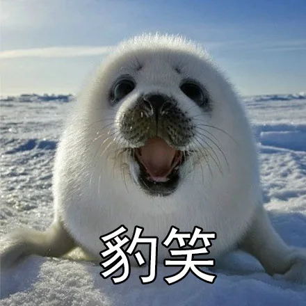 爆笑（豹笑）