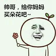 帅哥，给你妈妈买朵花吧