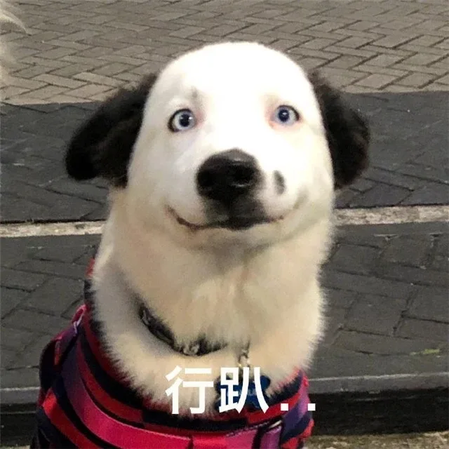 行叭（狗子）