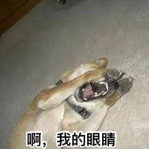 啊，我的眼睛（啊，我的眼睛）