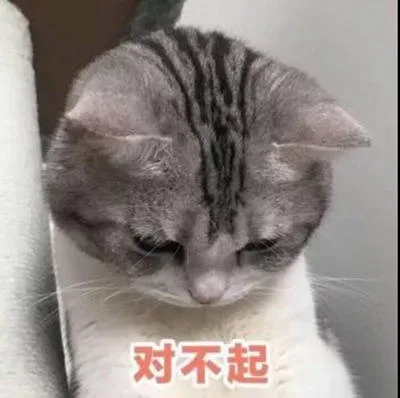 对不起（对不起）