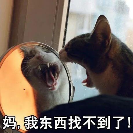 妈，我的东西找不到了！