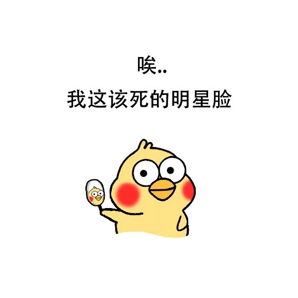 鹦鹉兄弟表情包系列