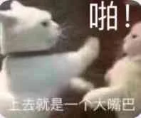 啪！上去就是一个大嘴巴（啪！上去就是一个大嘴巴）