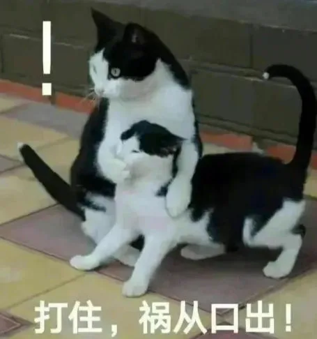 打住，祸从口出！（打住，祸从口出！）