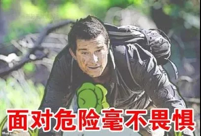 面对危险毫不畏惧