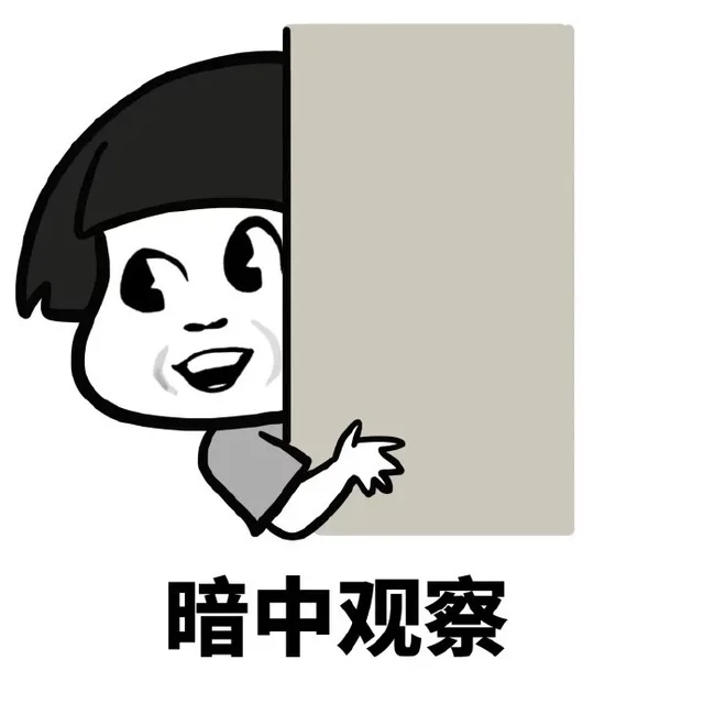 暗中观察