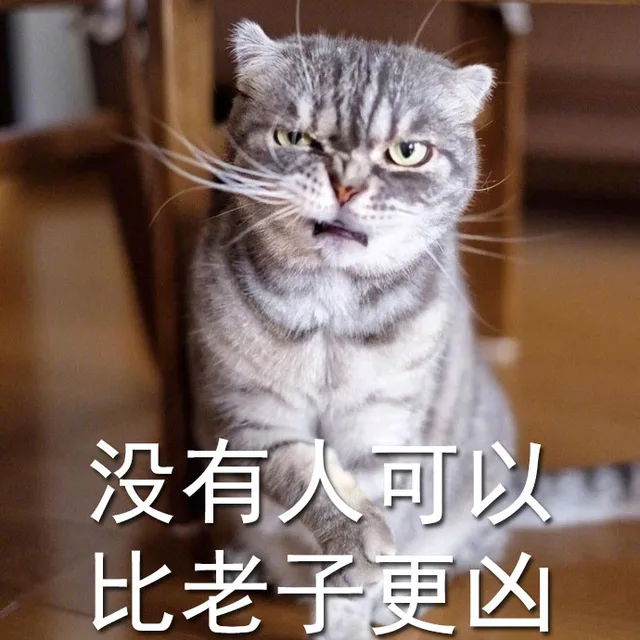 没有人可以比老子更凶