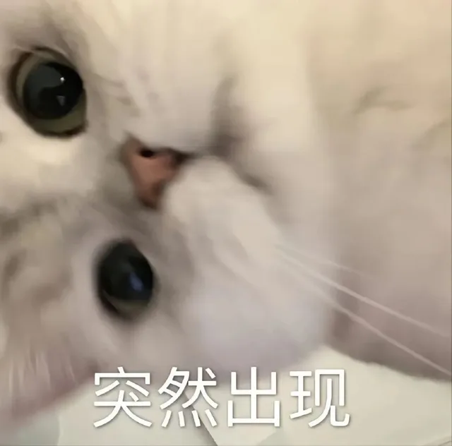 突然出现（突然出现）