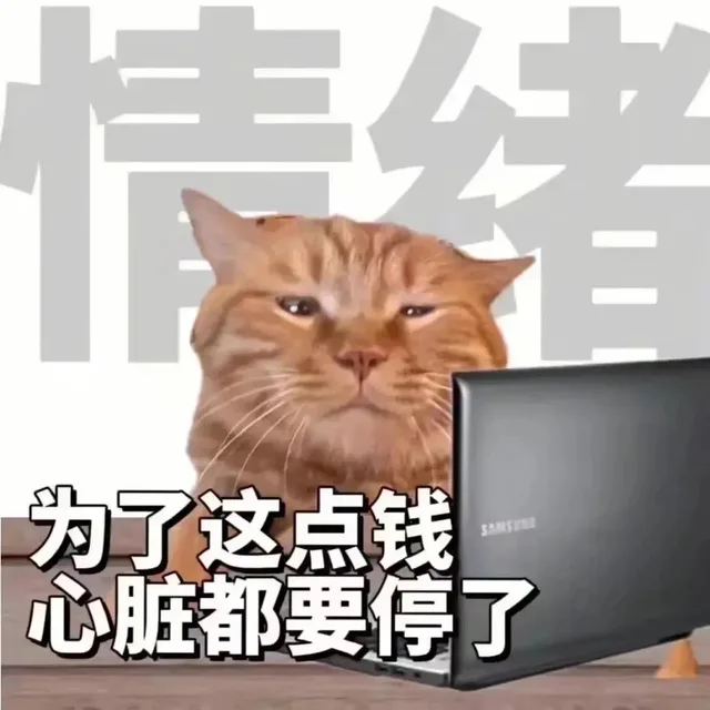 为了这点钱心脏都要停了