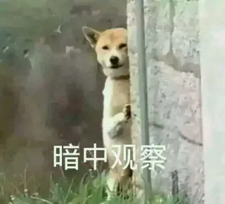 暗中观察